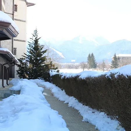 Private In Alpine